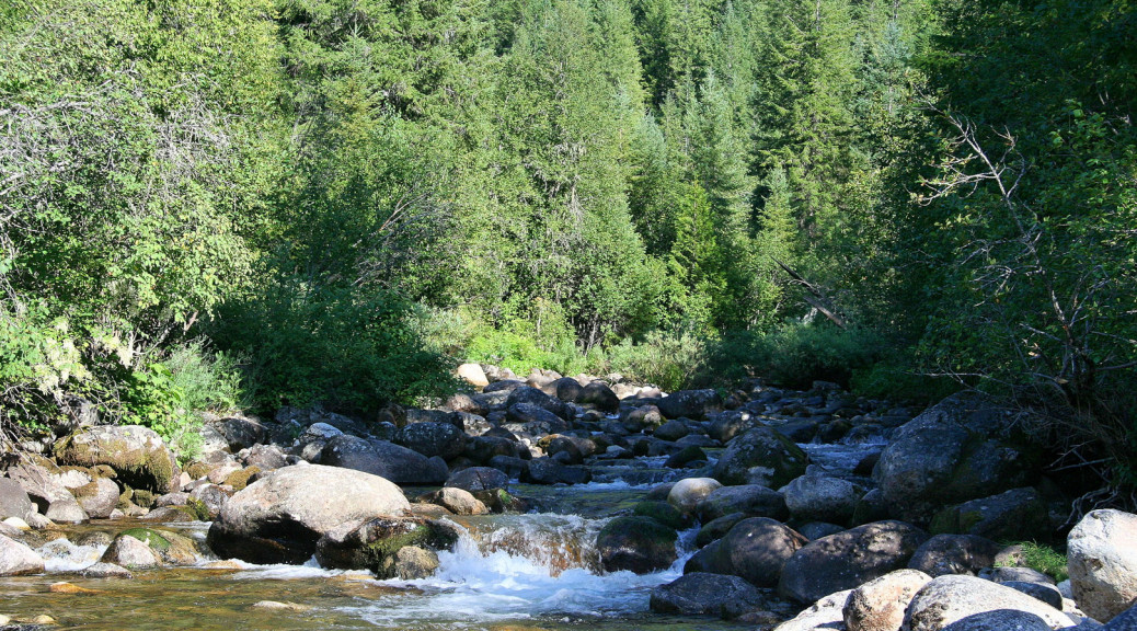 Boulder Creek, kleiner Nebenfluss des Lochsa River