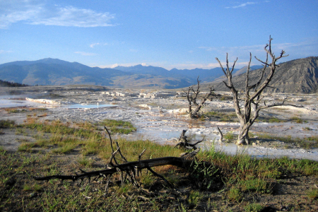Yellowstone: Mammoth Hot Springs