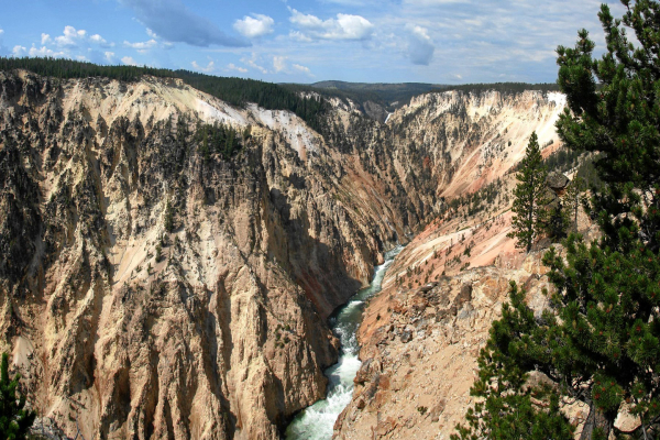 Yellowstone: Grand Canyon of the Yellowstone.