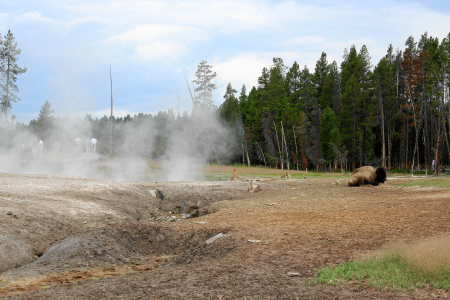 Yellowstone: Mud Volcano