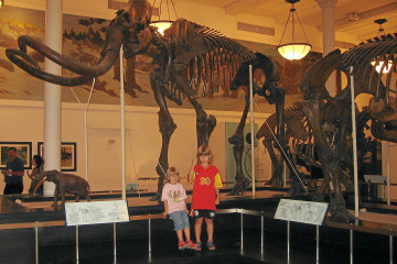 New York: American Museum of Natural History.