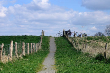 Picknick bei Laar