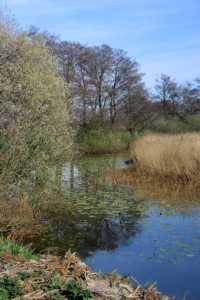 Zwischen Gramsbergen und Hardenberg