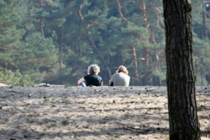 Sanddünen, die nach der Trockenlegung der Sümpfe entstanden.