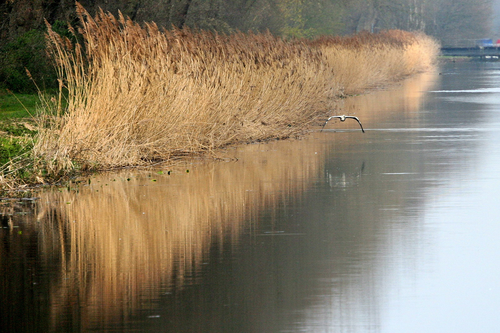 Am Coevorden-Picardie-Kanal