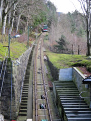 Ausflug auf den Hausberg von Bergen, den Floien. Zu Fuß hoch, mit der Bahn runter.