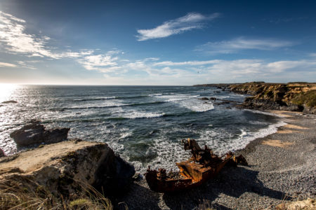 21.9. Wrack, Vilanova de Milfontes