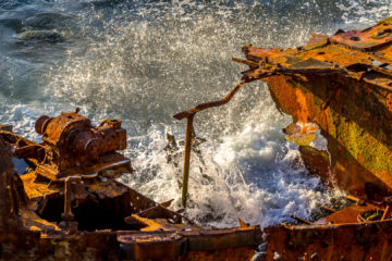 21.9. Wrack, Vilanova de Milfontes