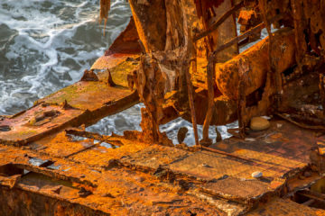 21.9. Wrack, Vilanova de Milfontes