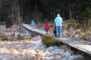 Januar: Hohes Venn