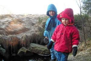 Januar: Hohes Venn