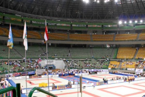 Ein Tag bei der Judo-WM.