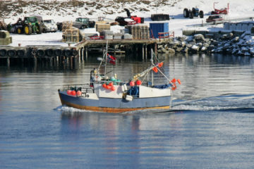 Finnsnes - ein kleiner Fischerort ...