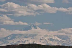 17.6. - Mt.Shasta, 4317m hoch, 55mls entfernt.