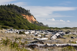 19.6. - Gold Bluffs Beach