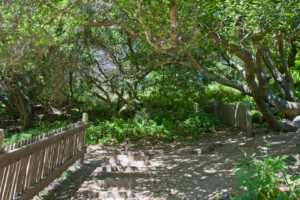 21.6. - Point Reyes National Seashore