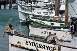 22.6. - Radtour, bis Tiburon