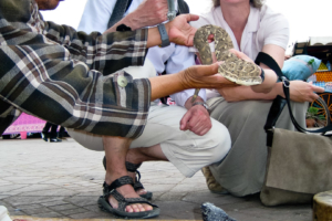 24.-29.4.: Marrakesch - Jemaa El Fna