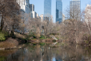 19.3.: Central Park