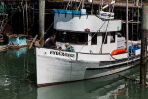 25./27.6. San Francisco - Fischerhafen