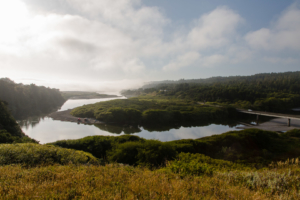 6.7. Gualala Regional Park