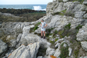 1.-2.11.2013: Hermanus. Laufen ist traumhaft schön.