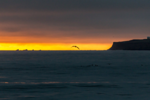 1.6. Abendstimmung, Half Moon Bay