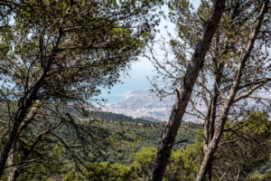 27.5. Parque Natural Montes de Málaga - Wanderung