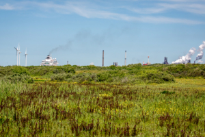 16.6. Sandpoort Nationalpark, Ijmuiden