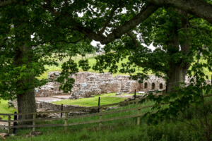 17.6. Chesters Roman Fort