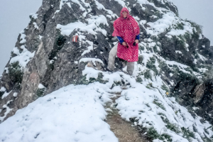 14.7. Gatter -&gt; Ehrwalder Alm