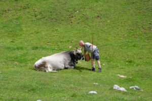 22.7. Nassereither Alm