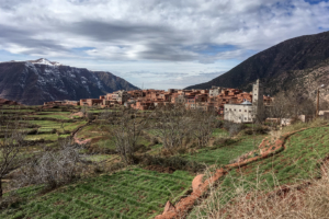 26.1.2017 - Wanderung im Ourika-Tal