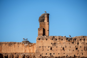 28.1.2017 - Palais El Badii