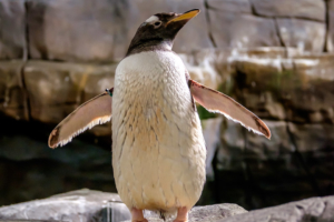 19.8. Tierpark Hagenbeck