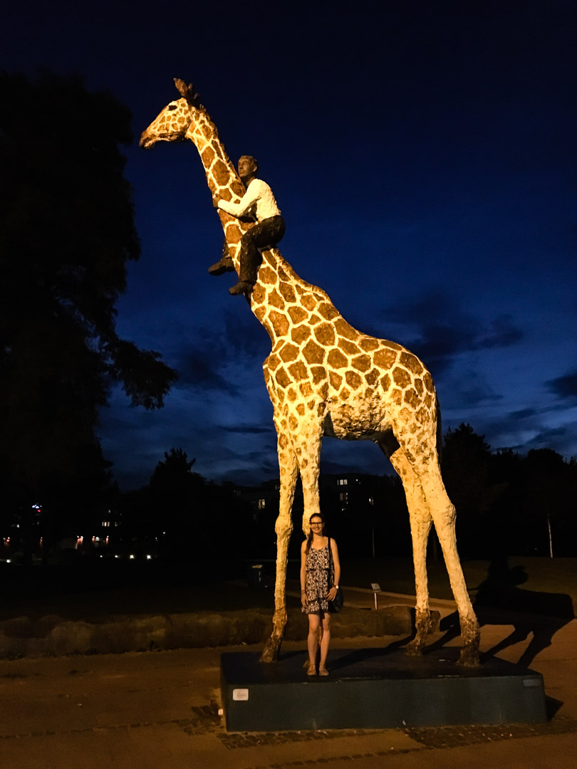 19.8. Hagenbeck-Giraffe