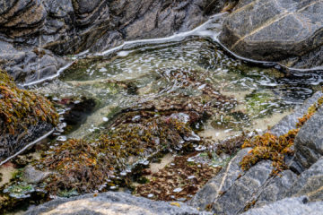 17.9.2016 - Horgabost - Tide Pooling