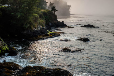 7.8.2017 - Salt Creak Recreation Area, Tide Pooling