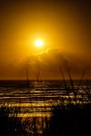 13.8.2017 - Nehalem Bay SP