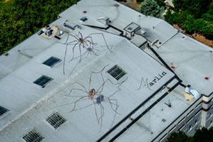 29.7.2017 - Ausblick von der Space Needle: Seattle Childrens Museum