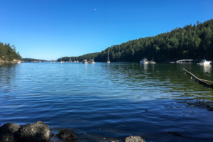 31.7.2017 - Reid Harbour, Stuart Island