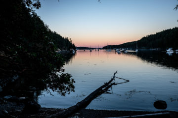 31.7.2017 - Reid Harbour, Stuart Island