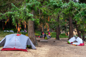 1.8.2017 - Campsite auf Jones Island (Tag 1: ~21km)