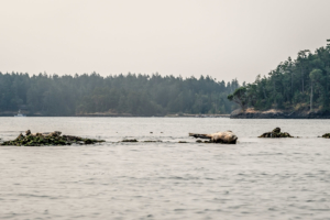 2.8.2017 - Jones Island --&gt; Blind Island