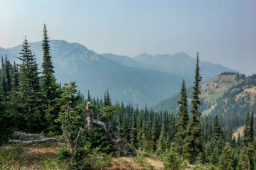 6.8.2017 - Olympic NP, Hurricane Ridge