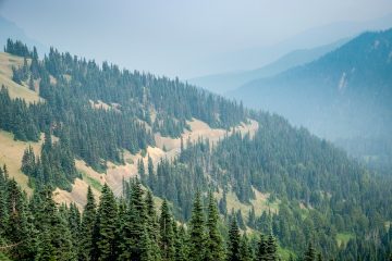 6.8.2017 - Olympic NP, Hurricane Ridge