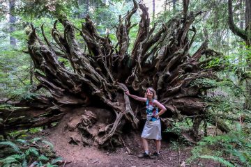 6.8.2017 - Olympic NP, Heart o' the Hills Trail