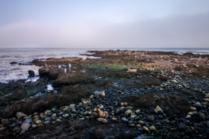 8.8.2017 - Salt Creek Recreation Area, Tongue Point