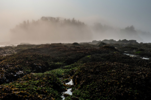 8.8.2017 - Salt Creek Recreation Area, Tongue Point