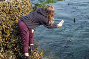 8.8.2017 - Salt Creek Recreation Area, Fotojagd beim Tide Pooling